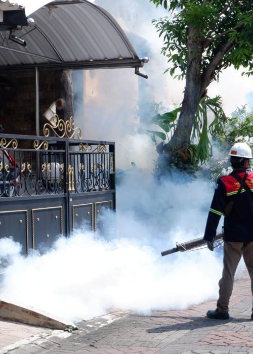 1. Pest Control_IPM (fogging_nyamuk)