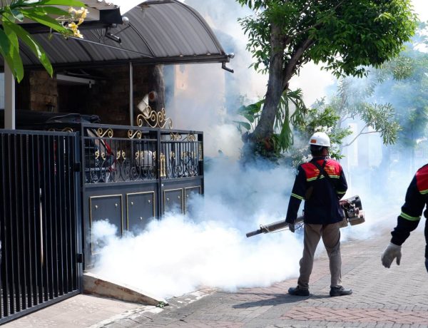 1. Pest Control_IPM (fogging_nyamuk)