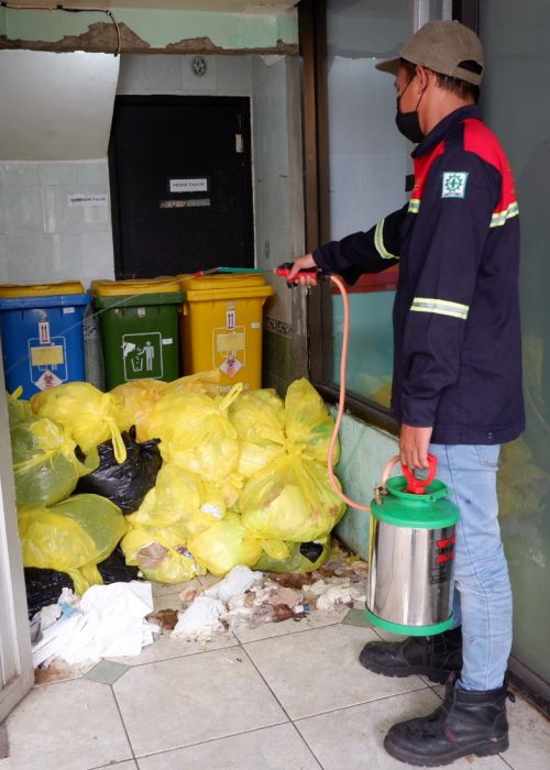 2. Pest Control_IPM (lalat)