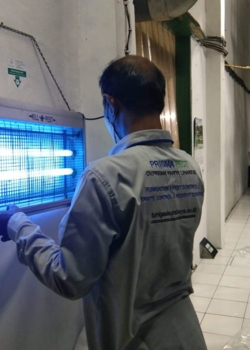 3. Pest Control_IPM (nyamuk)