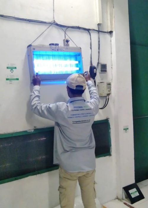 4. Pest Control_IPM (nyamuk)