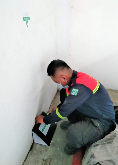 5. Pest Control_IPM (tikus)